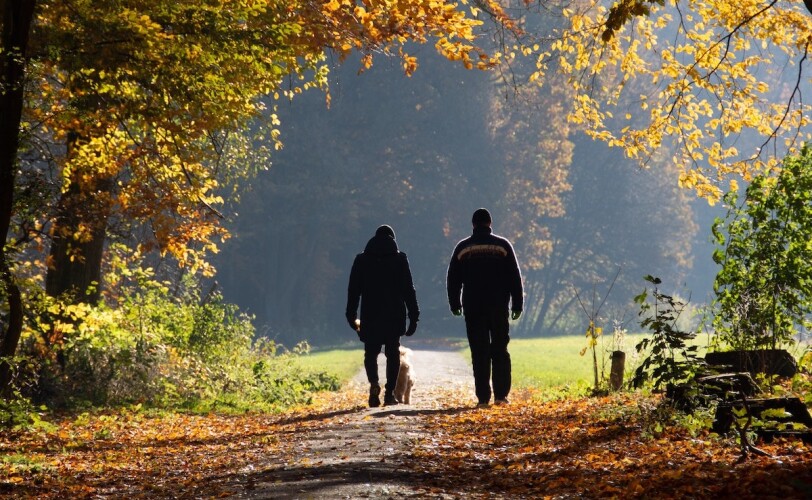 Walk and Talk Therapy